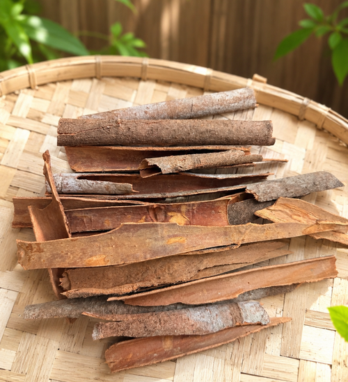 KANÈL (Cinnamomum )