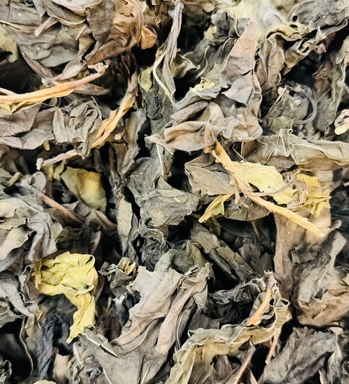 Fèy doulè (fèy Noni )