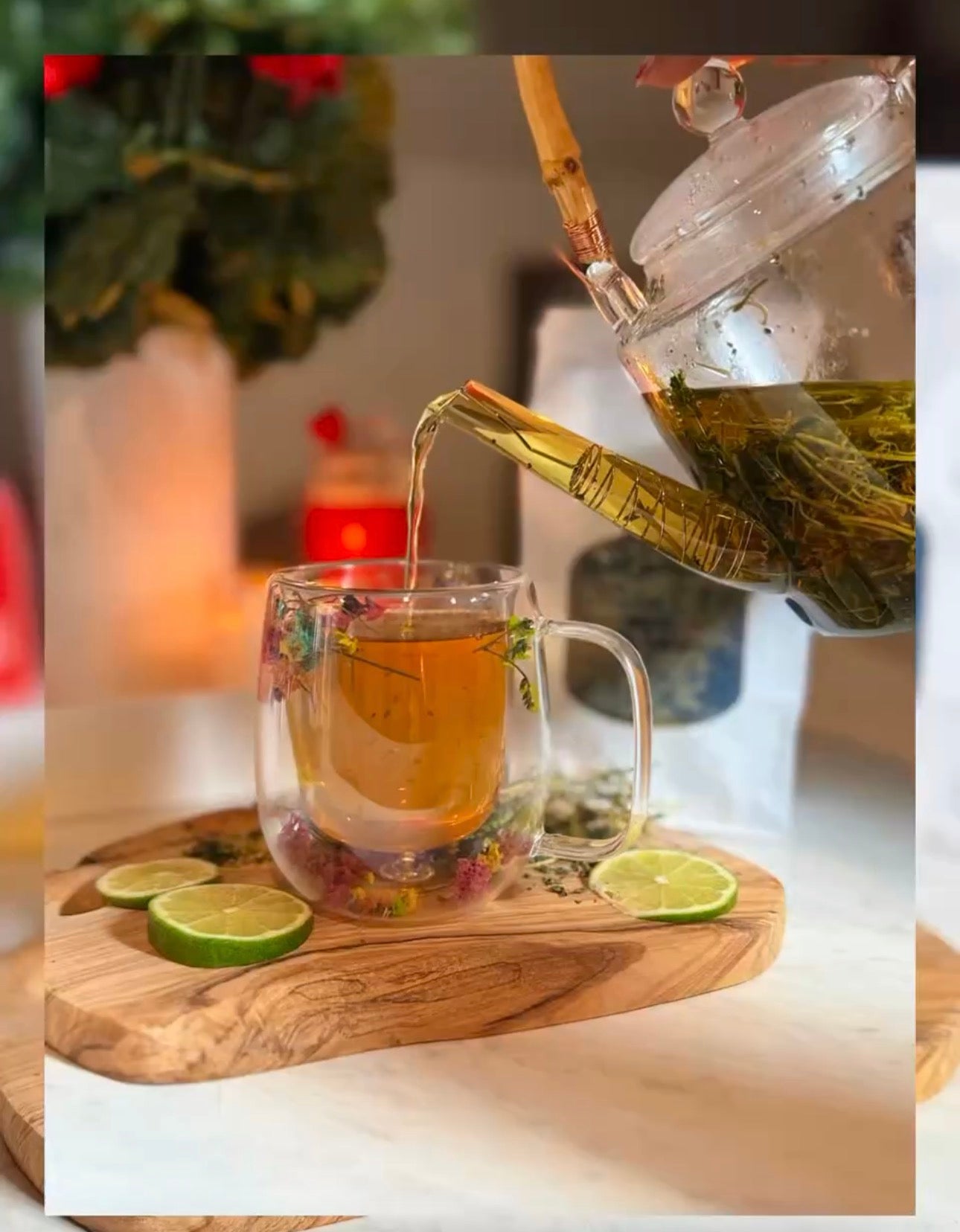 Box abitid Retounen nan prevansyon, yon tas alafwa