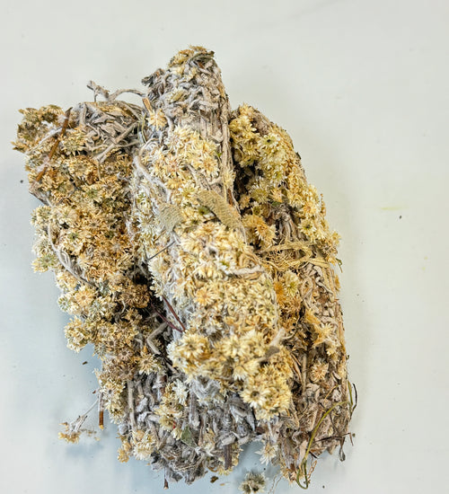 Fèy chamomille