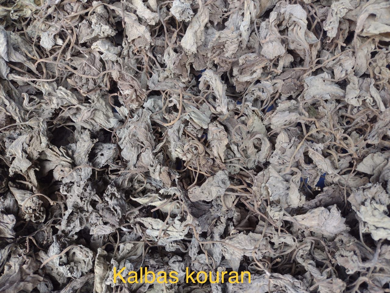 Fèy Kalbas Kouran