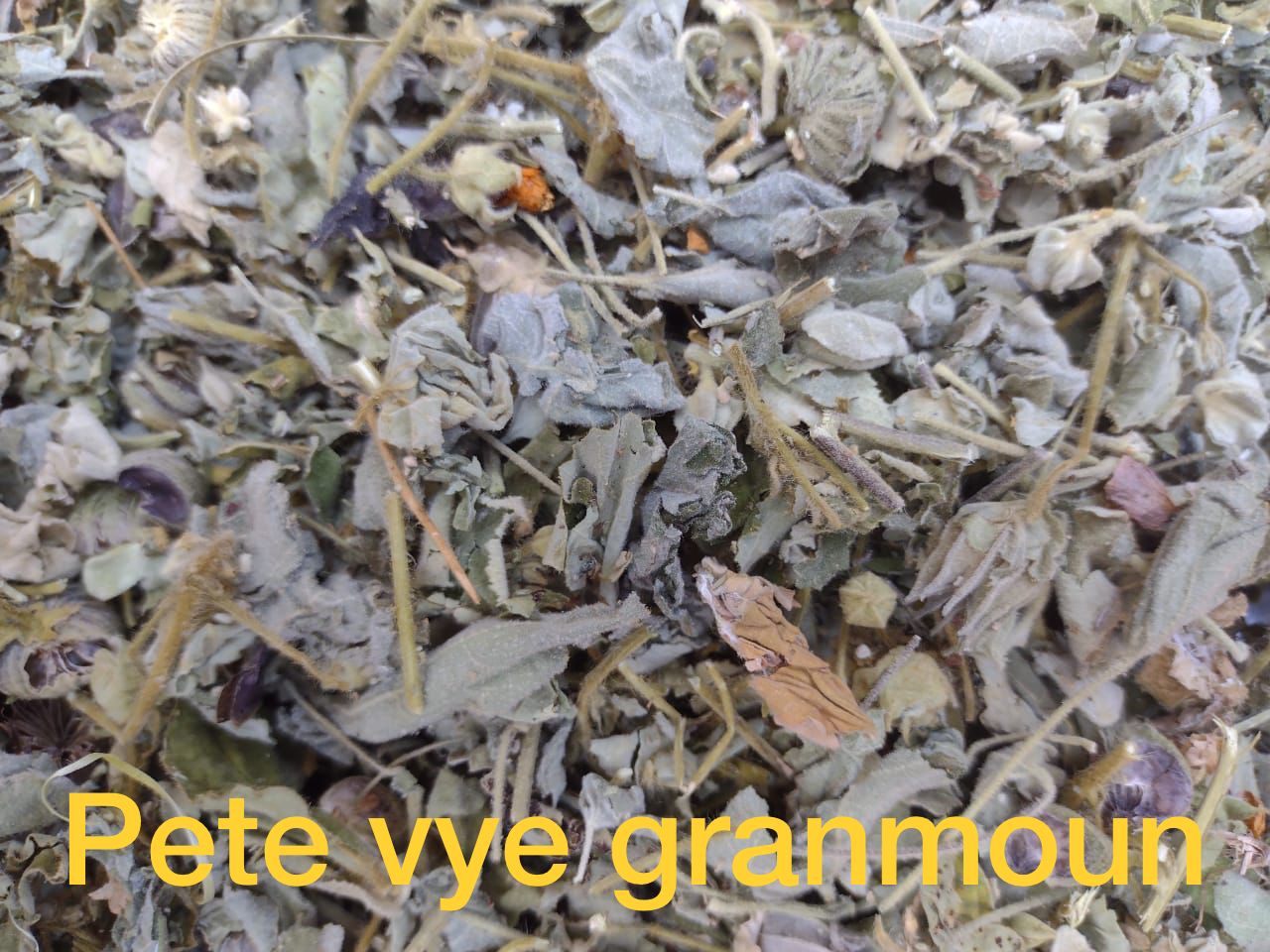 Fèy Pete Vye Granmoun