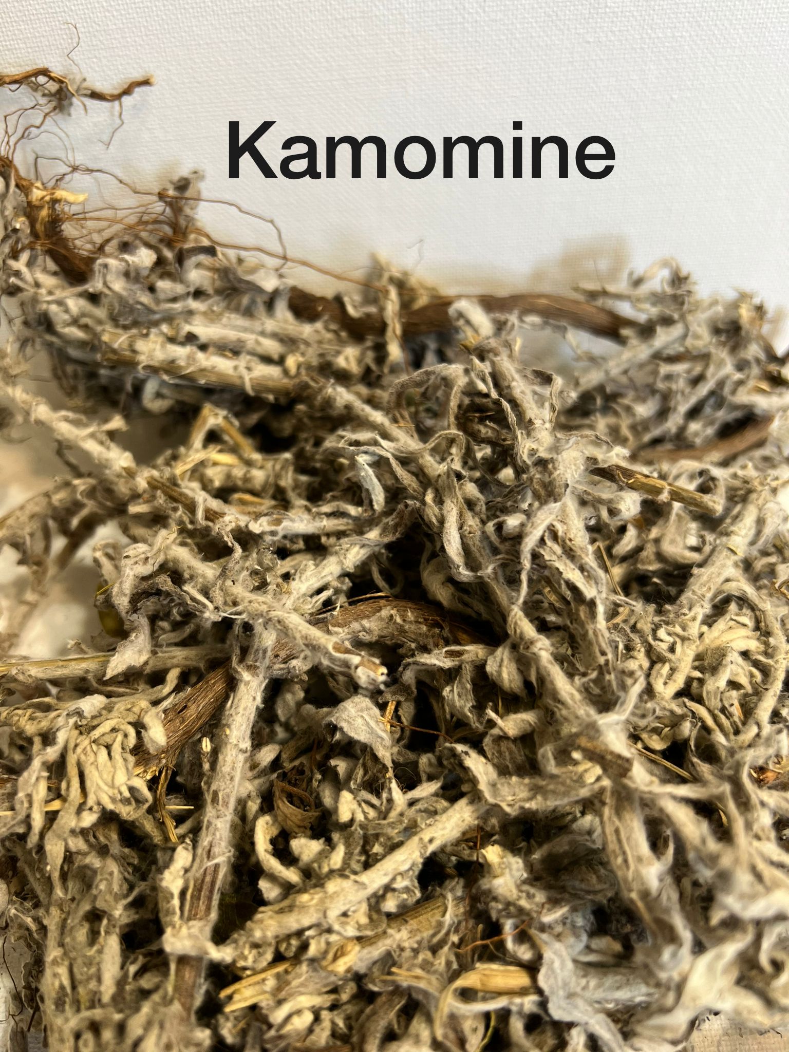 Fèy Kamomine