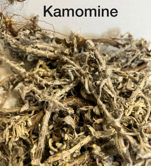 Fèy Kamomine