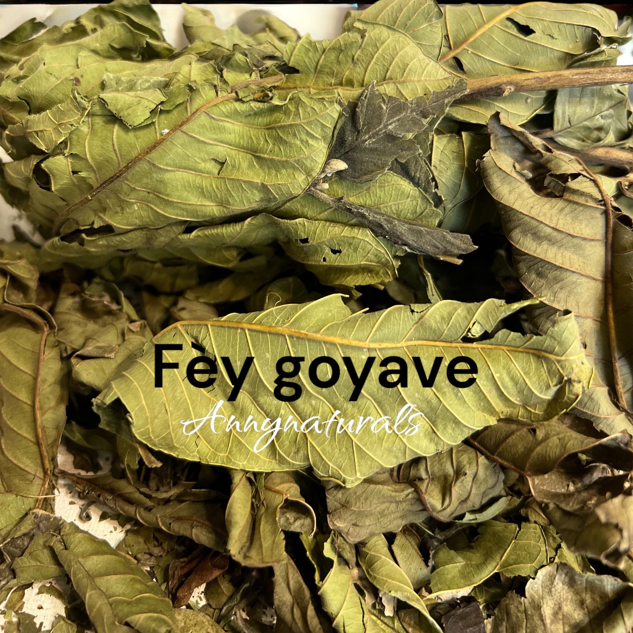 Fèy Goyave